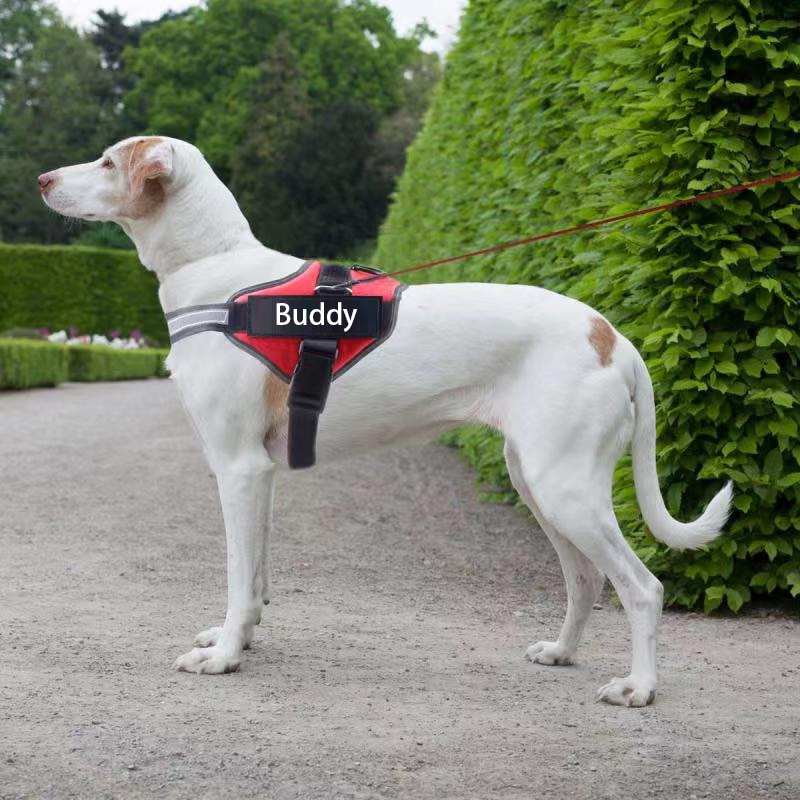 ReflectiVest™ Personalized All-Weather Dog Harness