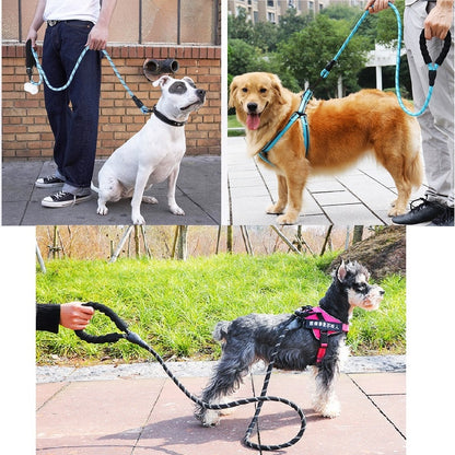 SeasonSpan™ Classic Comfort Dog Leash