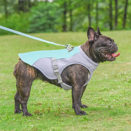 ChillVest™ Summer Dog Cooling Harness
