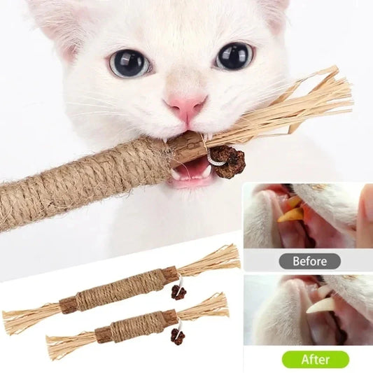 SilvervineStick™ Dental Chew Toy For Cats